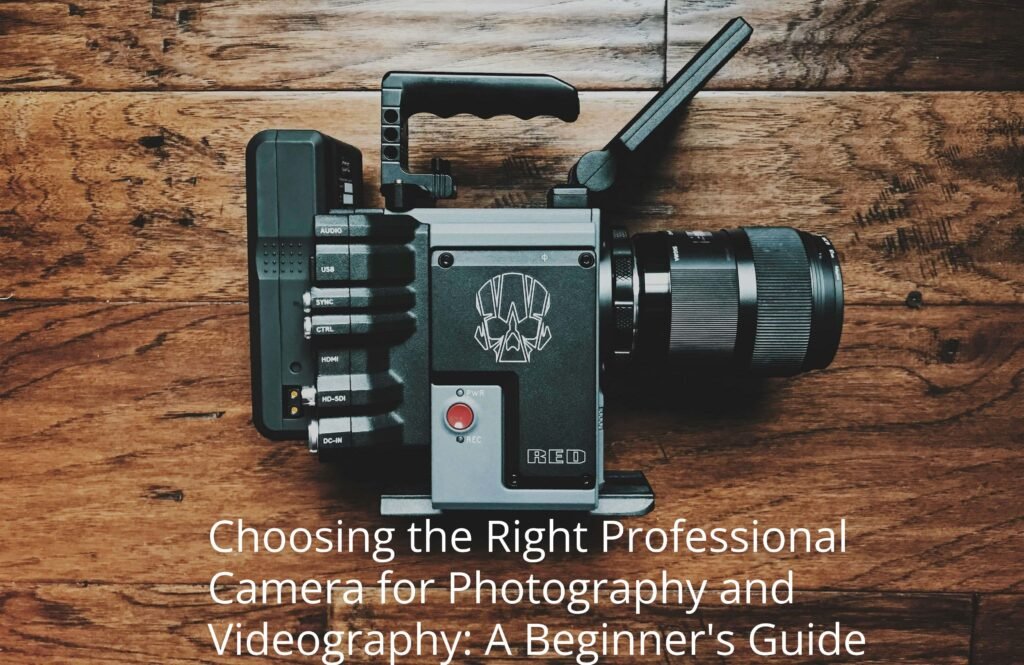 Best Budget Friendly Cameras for Beginners