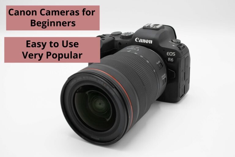 Canon Cameras for Beginners